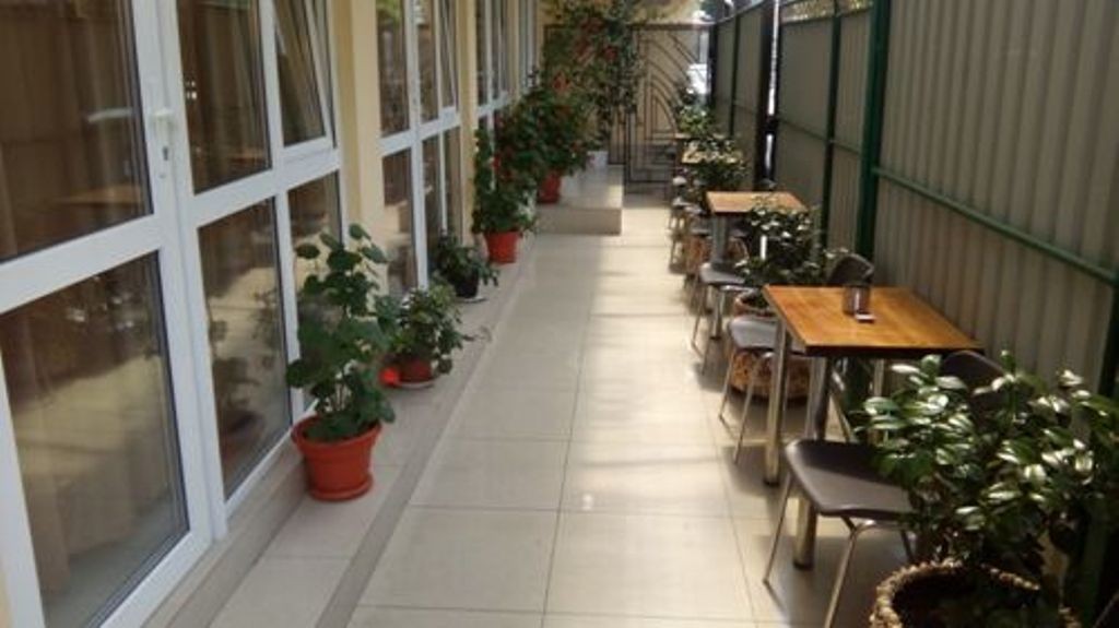 Фото Диковинка Сочи