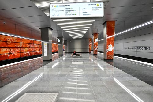 Michurinsky Prospekt (Moscow, kvartal Kinematograficheskiy), metro station