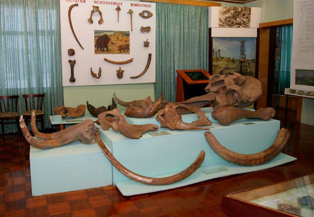 Museo Kolpashevsky Museum of Local History, , foto