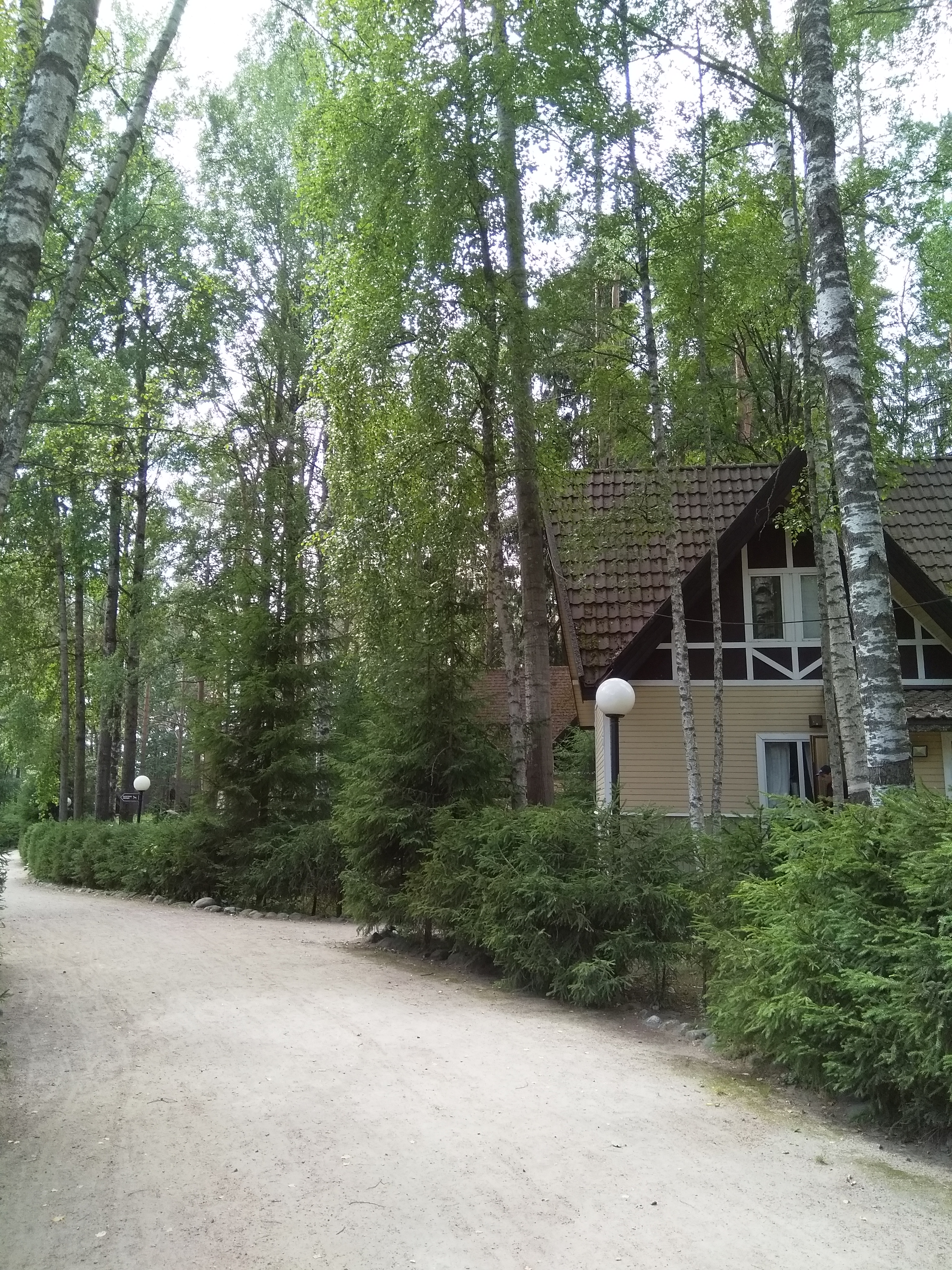 Фото Снежный