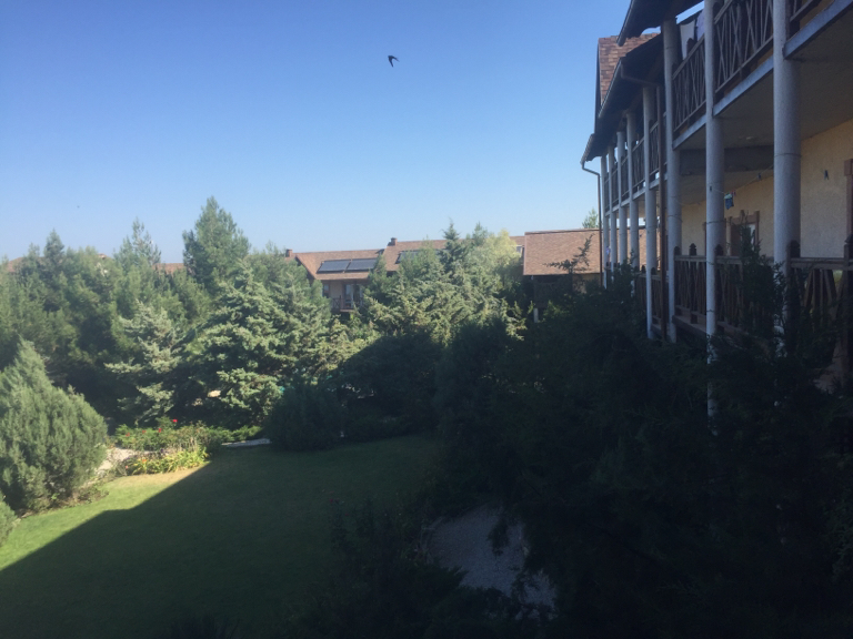 Фото Марлин