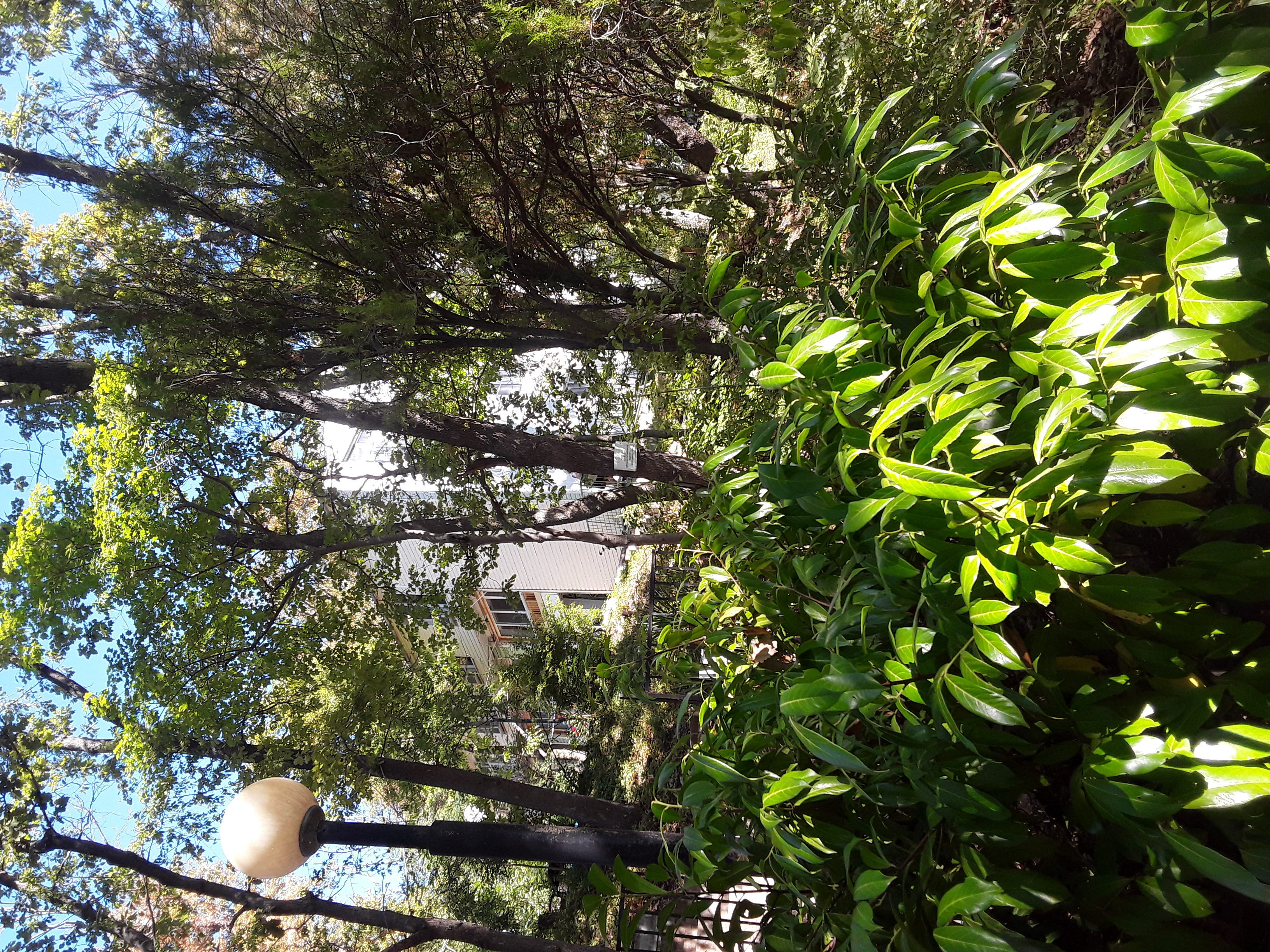 Фото Галина-чайка