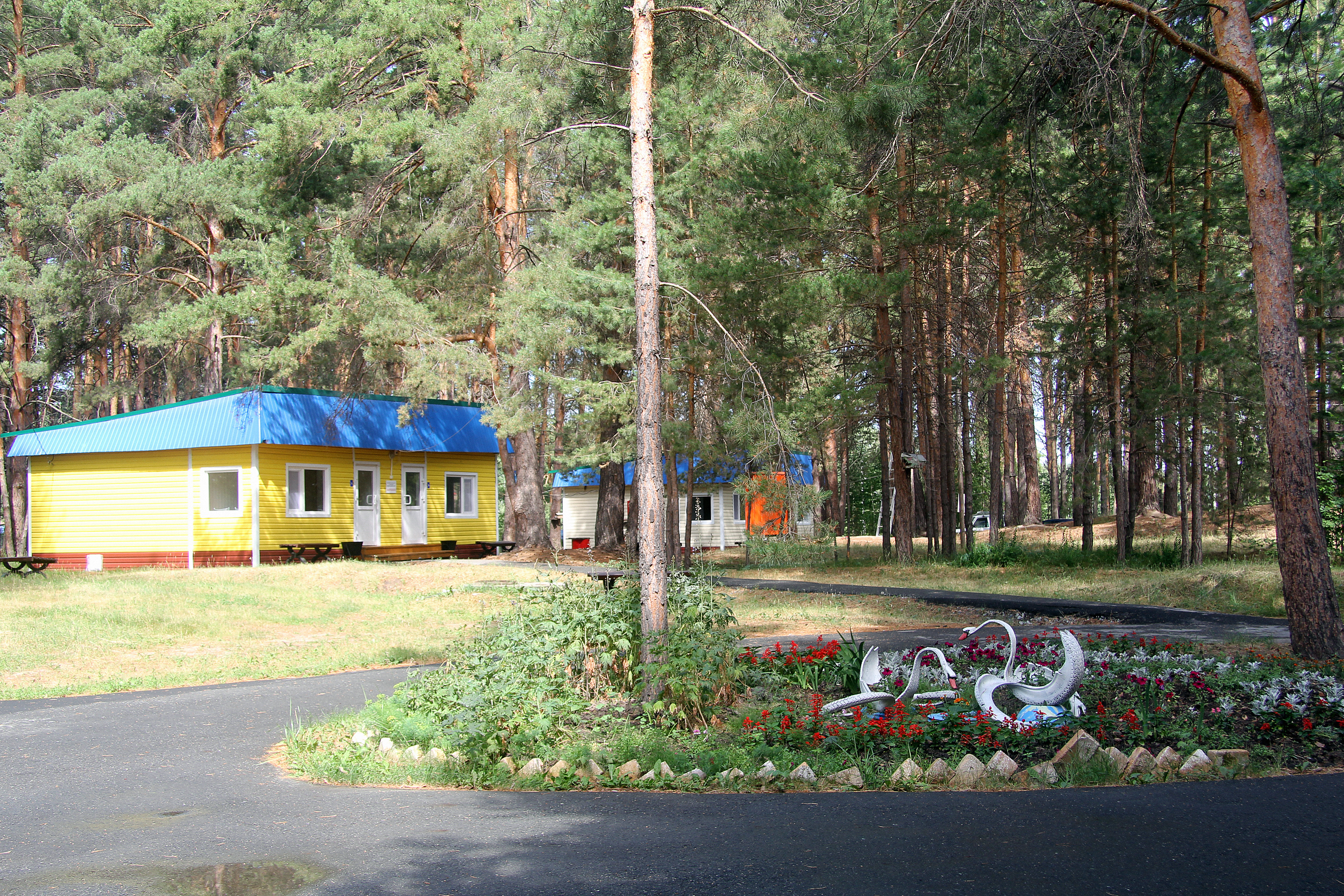 Фото Сосновый Бор