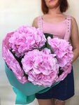 Beauty flowers (ул. Митрофана Седина, 58, Центральный внутригородской округ, микрорайон Центральный, Краснодар), доставка цветов и букетов в Краснодаре