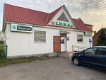 Аптека (Republic of Tatarstan, Drozhzhanovskiy rayon, selo Staroye Drozhzhanoye, ulitsa Dzerzhinskogo), farmacia
