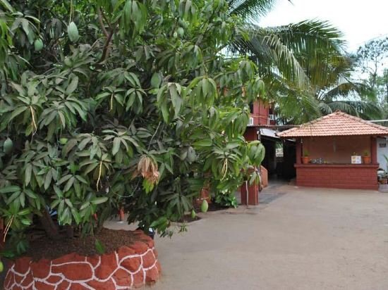 Фото Nisarg Resort