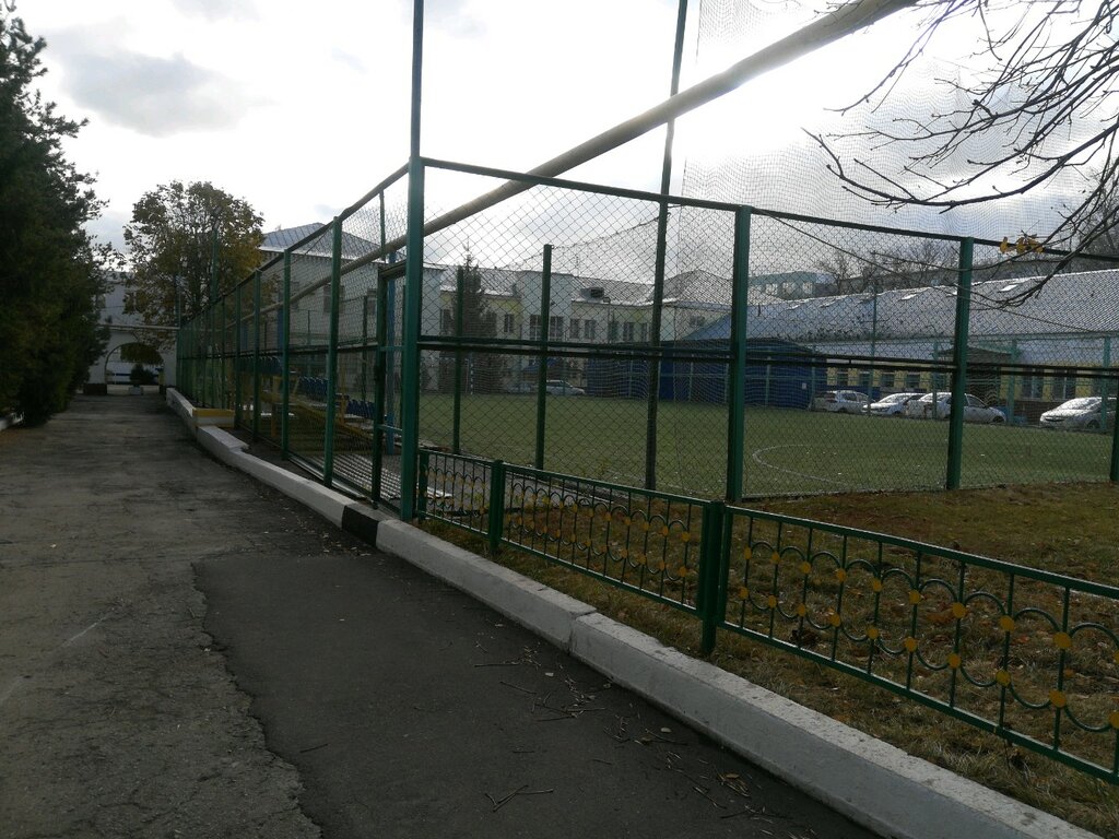 Stadium Агро-Арена, Saratov, photo