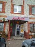 Lidiya-V (Korochanskaya Street, 359А), grocery