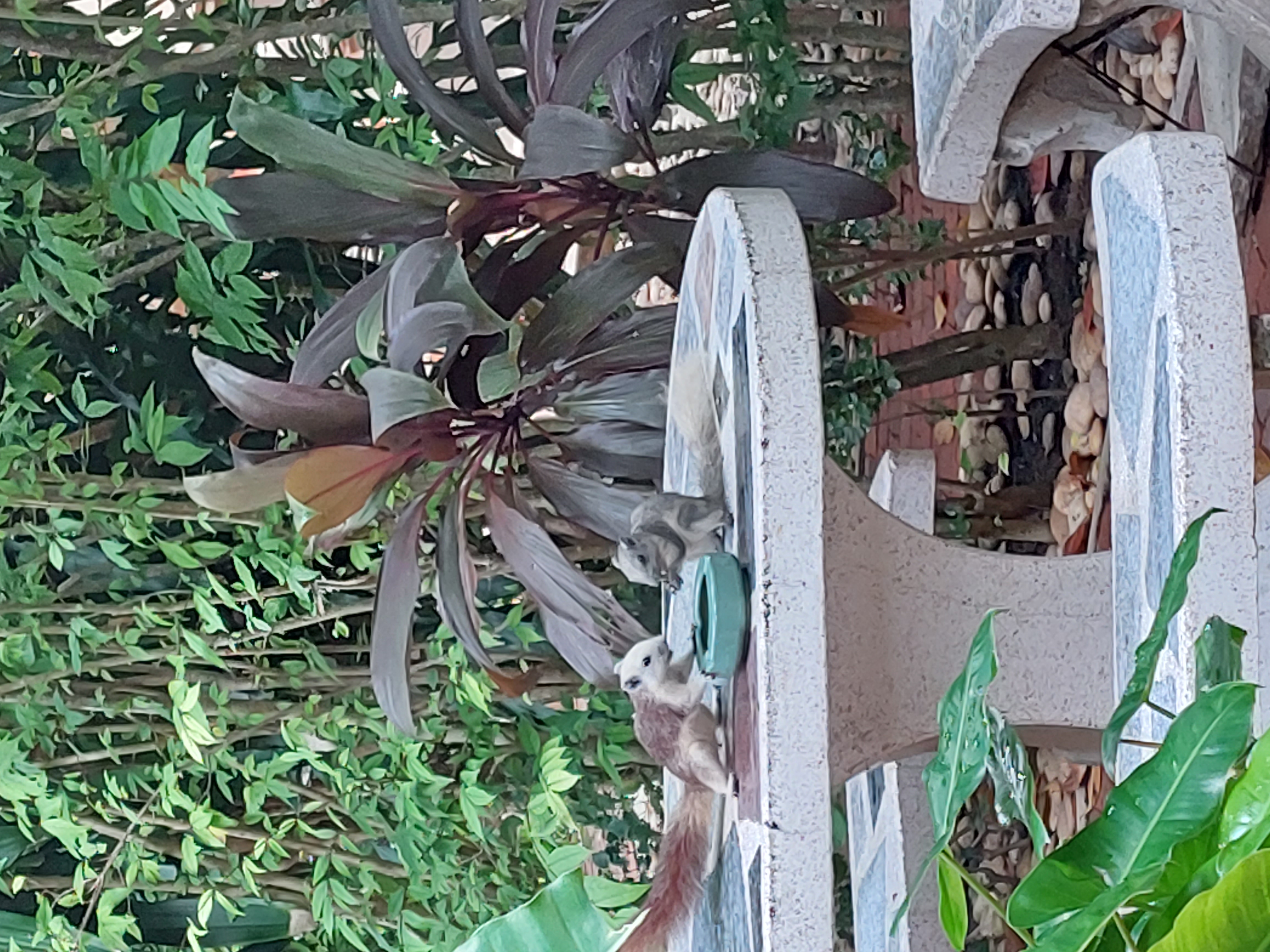 Фото Rabbit Resort Pattaya