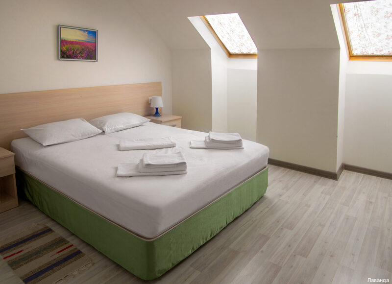 Фото Лаванда