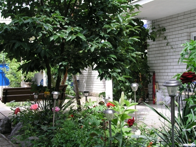 Фото Михалыч