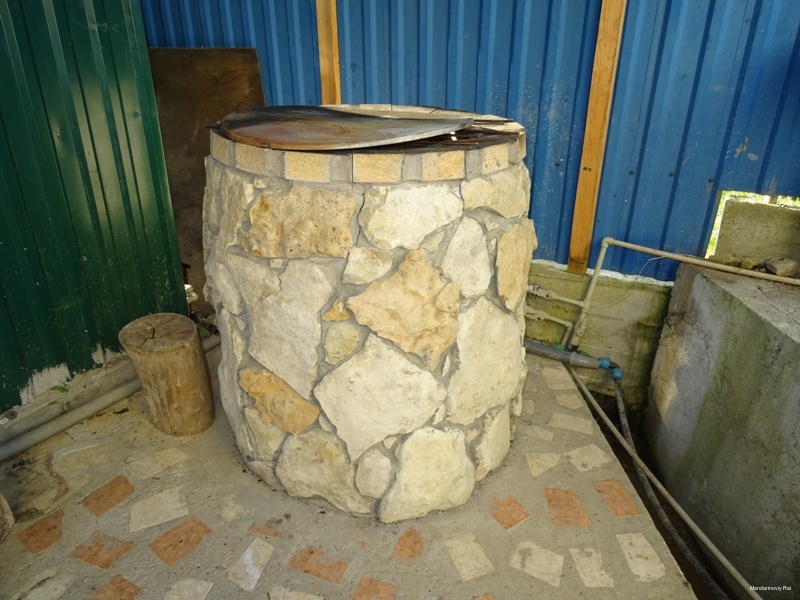 Фото Мандариновый рай