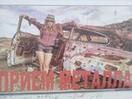 Прием металлолома (ulitsa Bortsov Revolyutsii, 133), reception of scrap metal