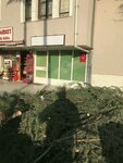 Tk Group Tourism Organization (Ankara Province, Cankaya District, Şehit Cevdet Özdemir Mah., Şeftali Cad., 46), cars ordering