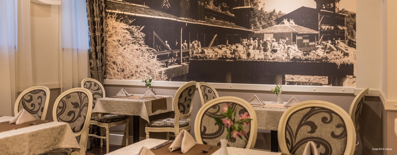 Фото Hotel SPA Hévíz