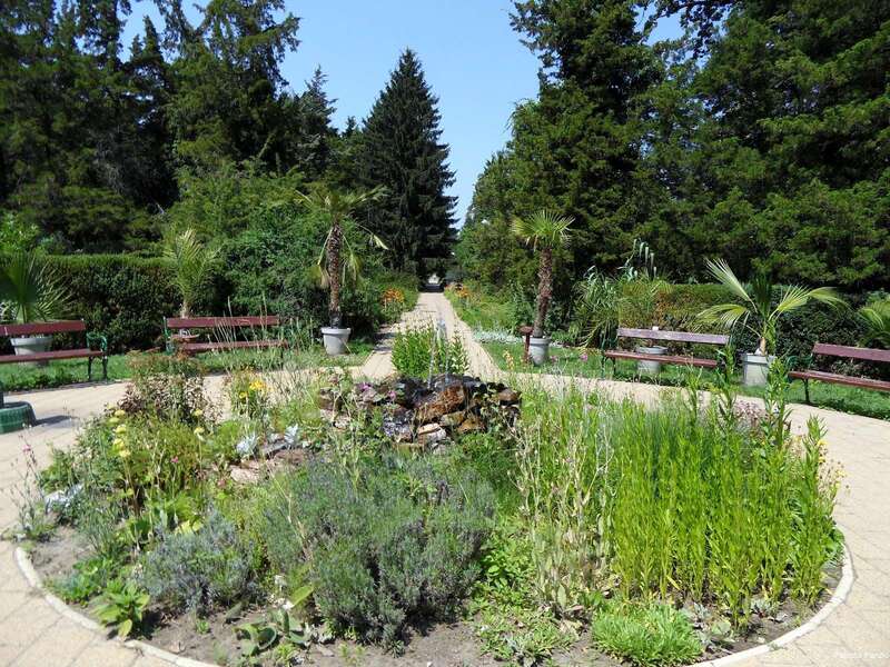 Фото Peterfia Panzio