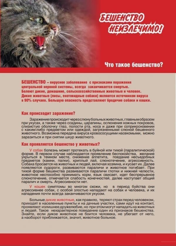 Гбув МО Терветуправление N 5, Щелковская станция по борьбе с болезнями животных - фото 22