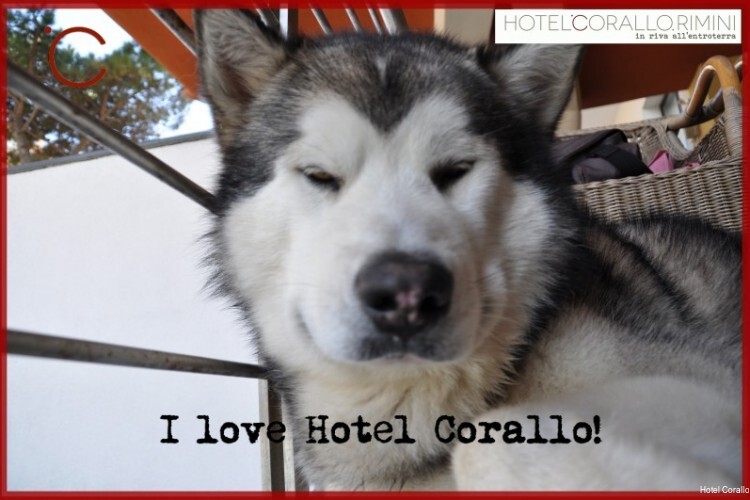 Фото Hotel Corallo Rimini