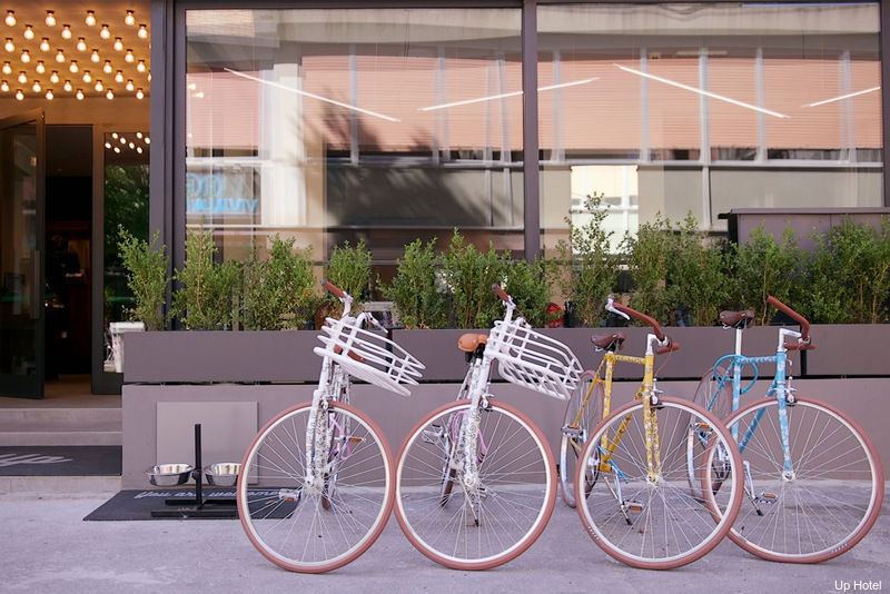 Фото Up Hotel
