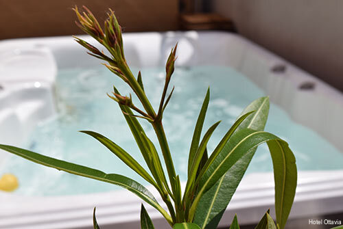 Фото Hotel Ottavia