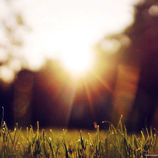 Фото Hotel Edelweiss