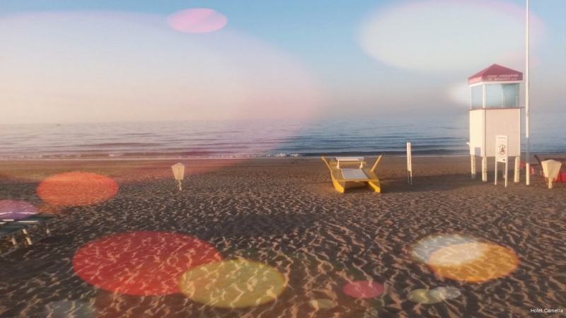 Фото Hotel Camelia