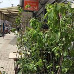 Doğan Tarım (Samsun, Bafra, Kemalpaşa Mah., Hasan Aslan Cad., 15), phytoproducts, dietary supplements