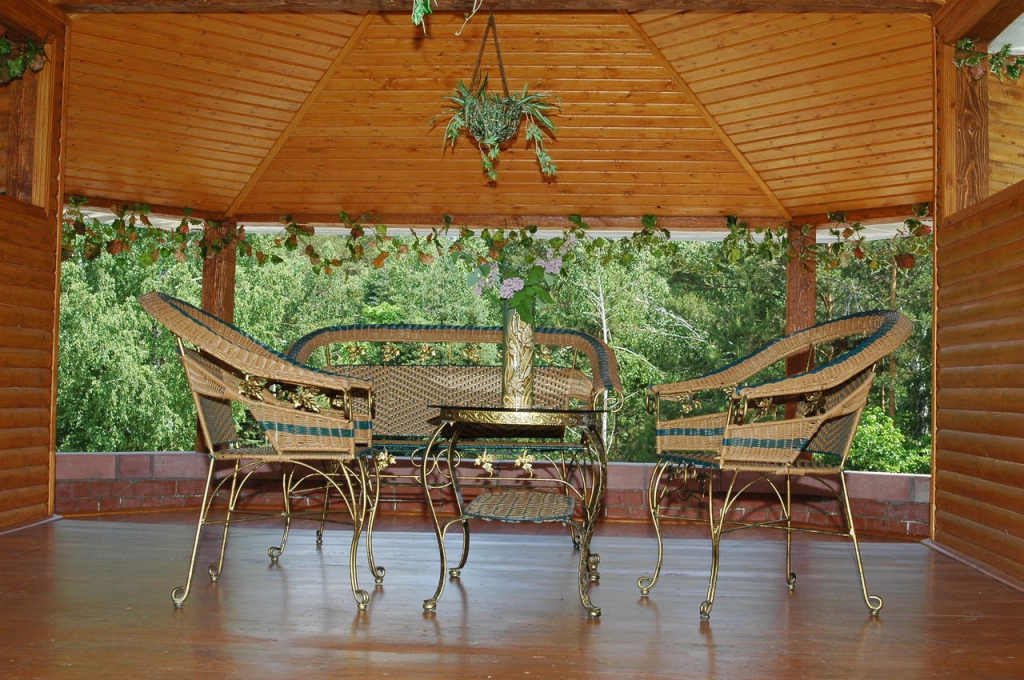 Фото Золотая подкова