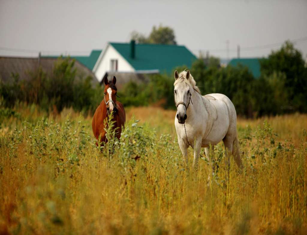 Фото Чернышевой