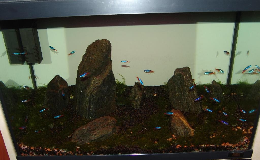 Фото Отель Свердлова 27