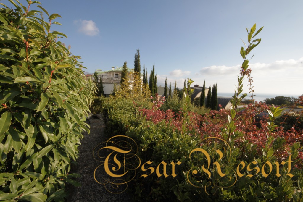 Фото Вилла Царь