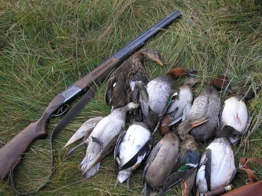 Фото Митричево