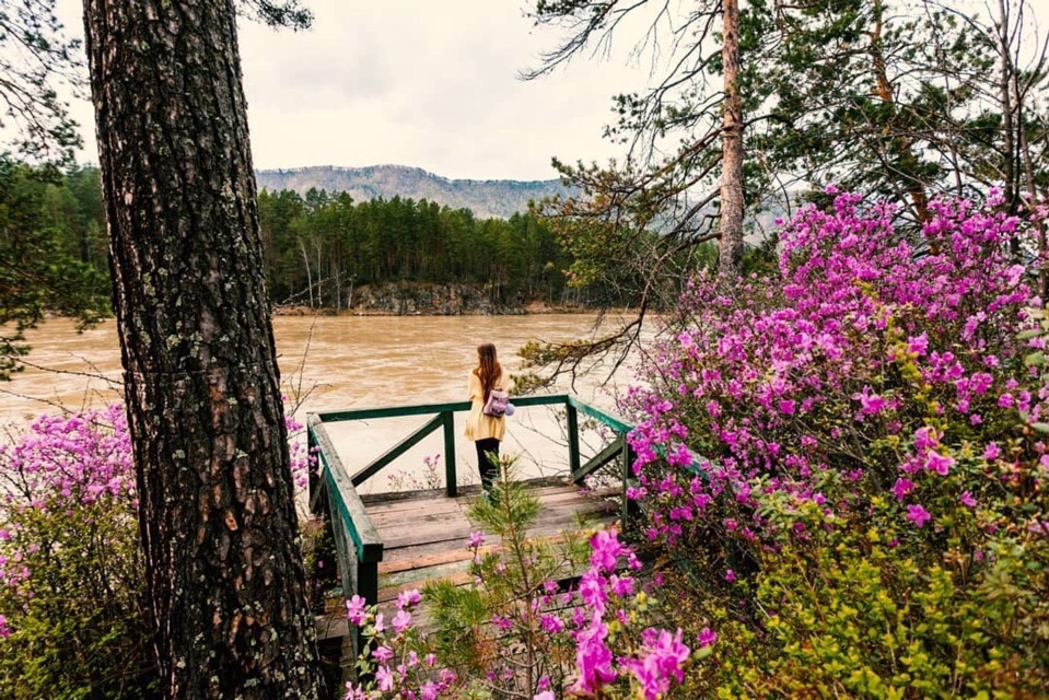 Фото Царская охота