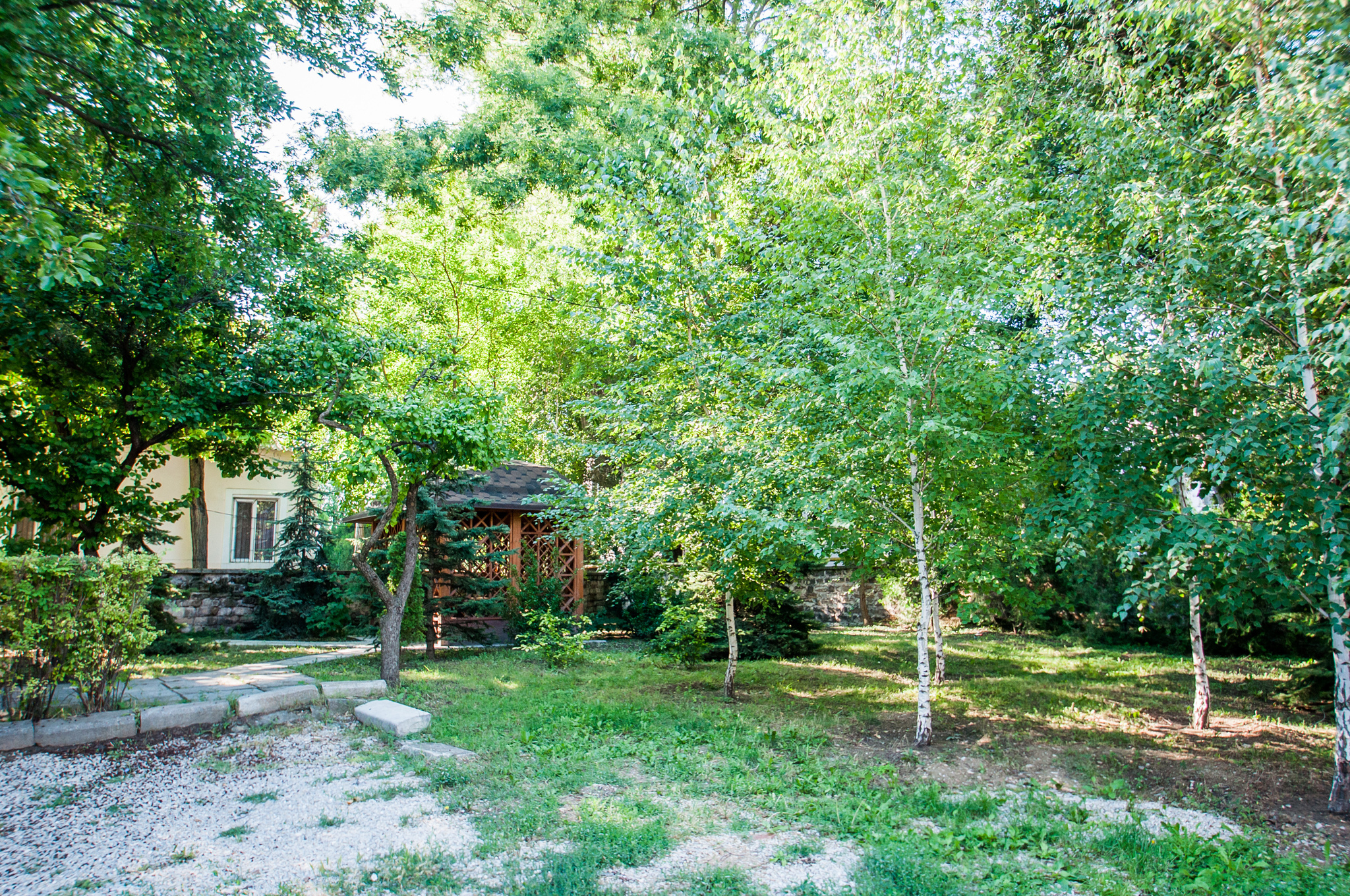 Фото Светлая