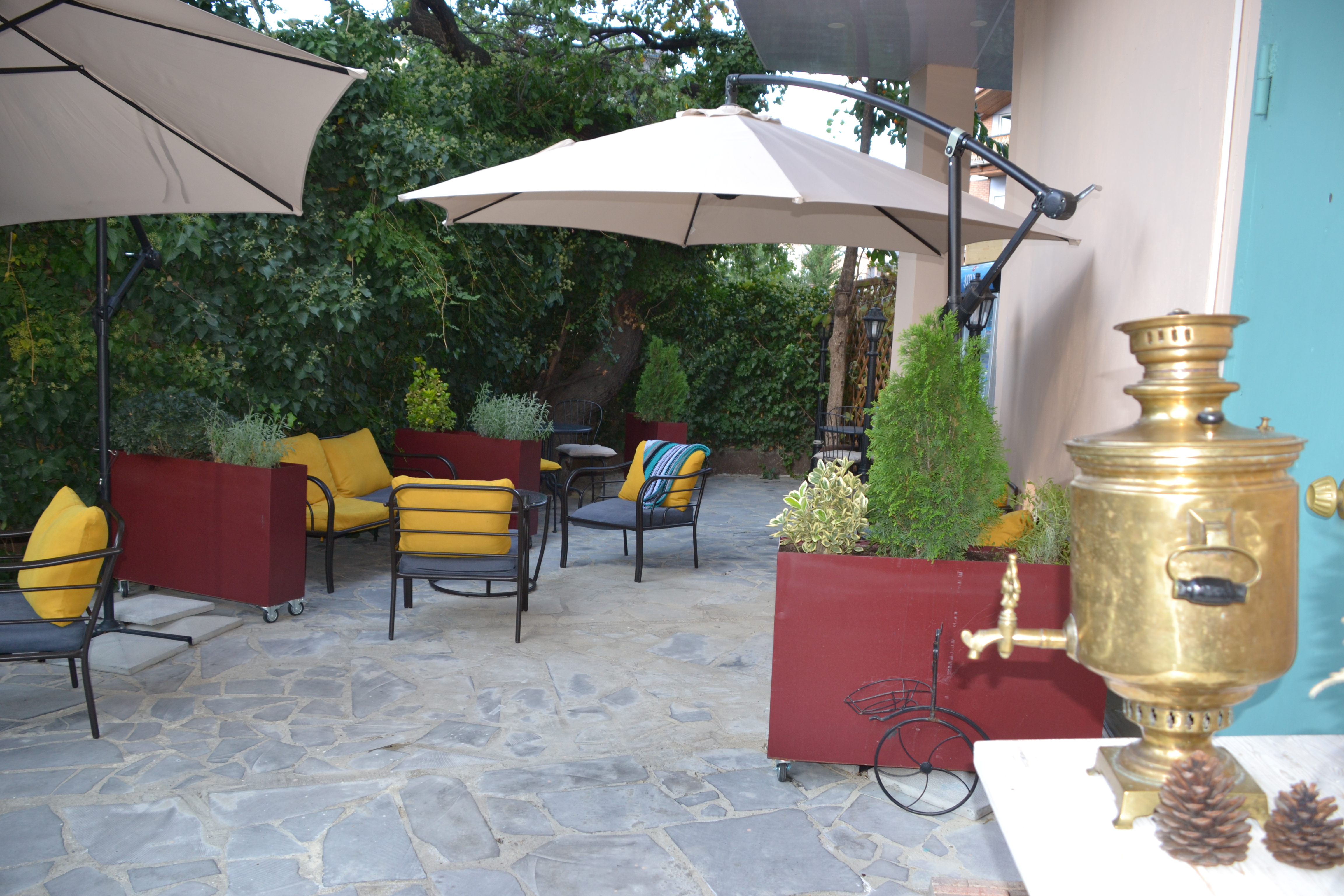 Фото Гвино Минда