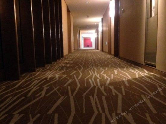 Фото Gotel Capital