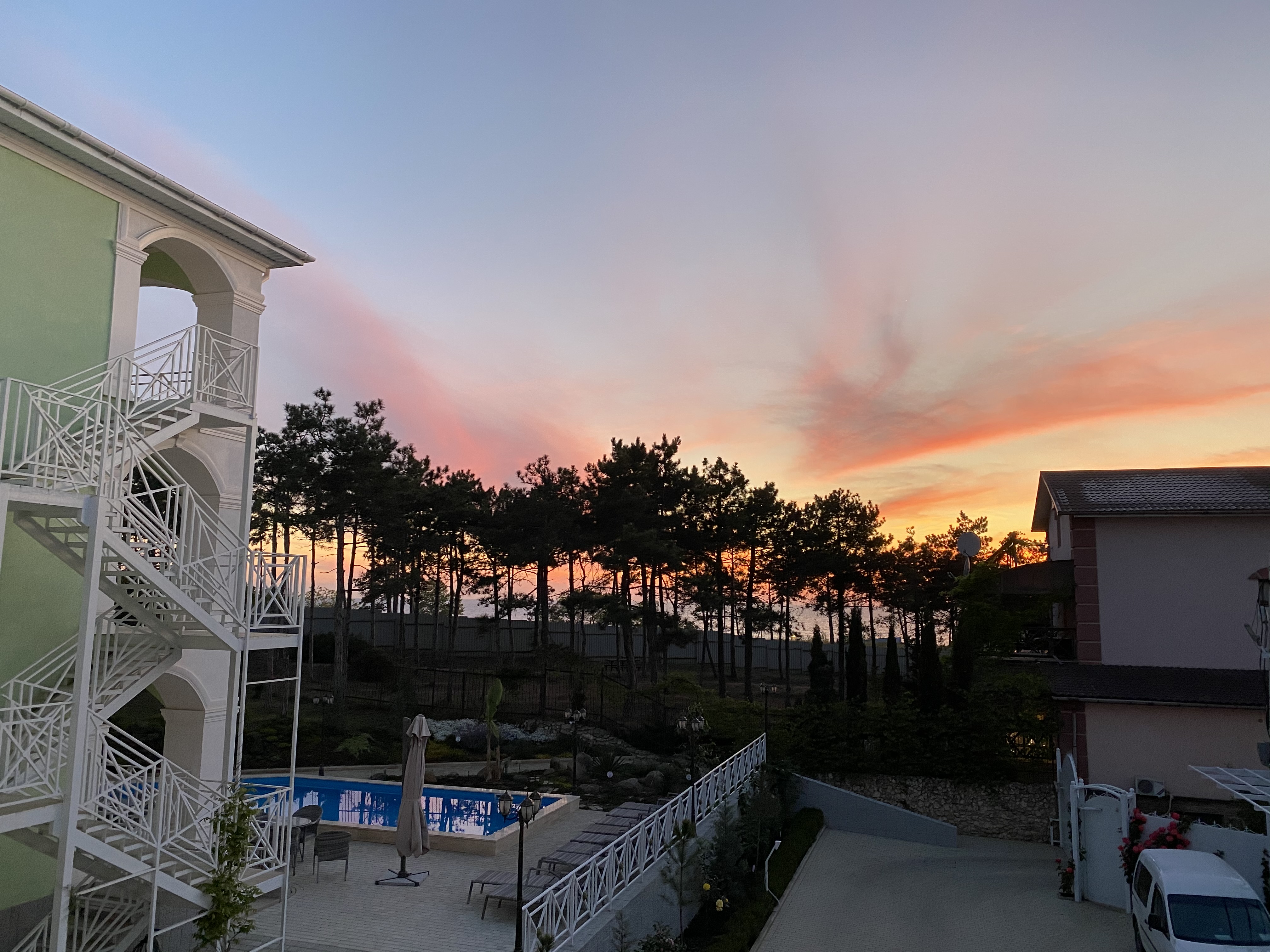 Фото Розмарин