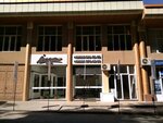 Imzo akfa (Kurchatov Street, 9), windows