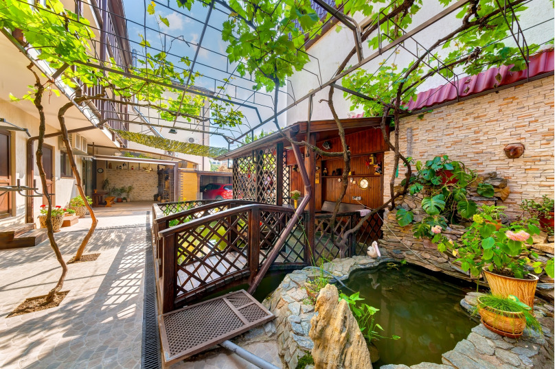 Фото Золотая рыбка