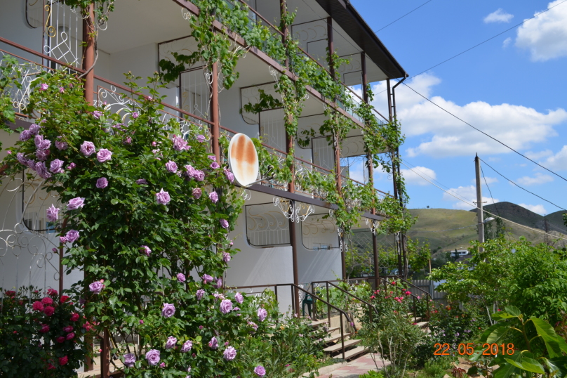 Фото Терем Ок