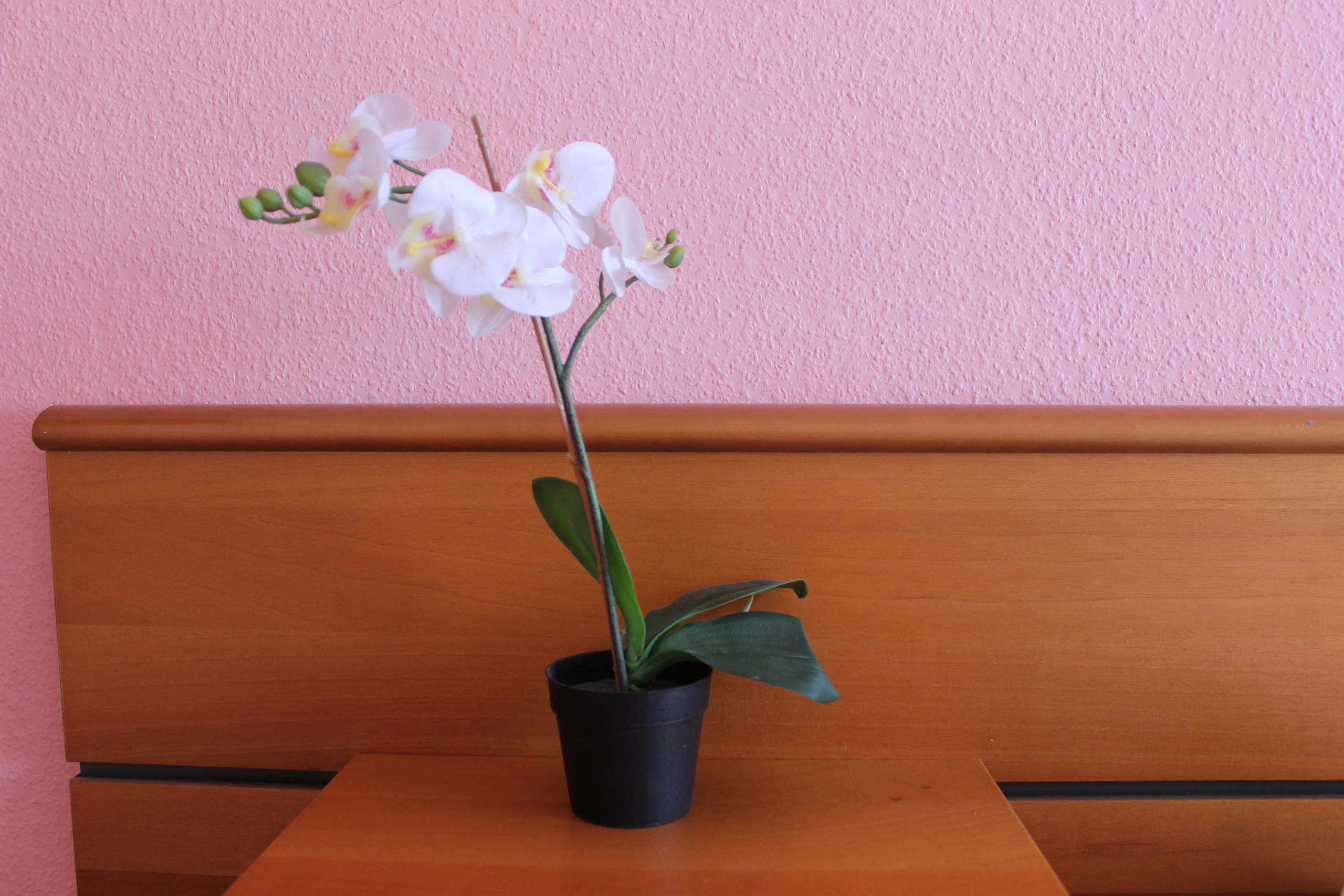 Фото Мини-отель в центре