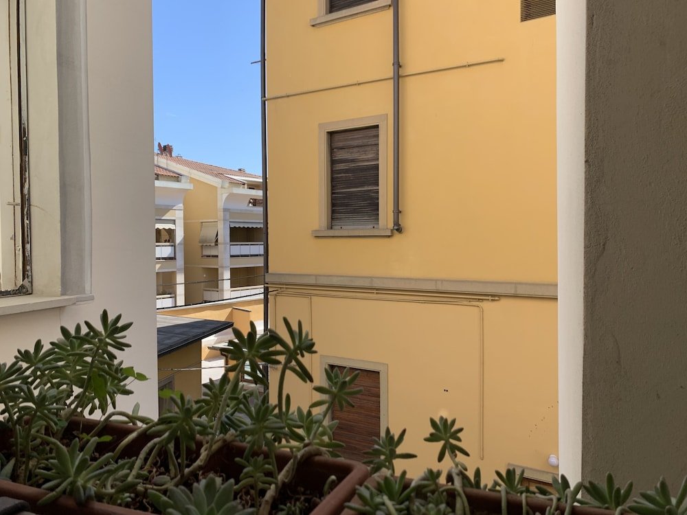 Фото Hotel David