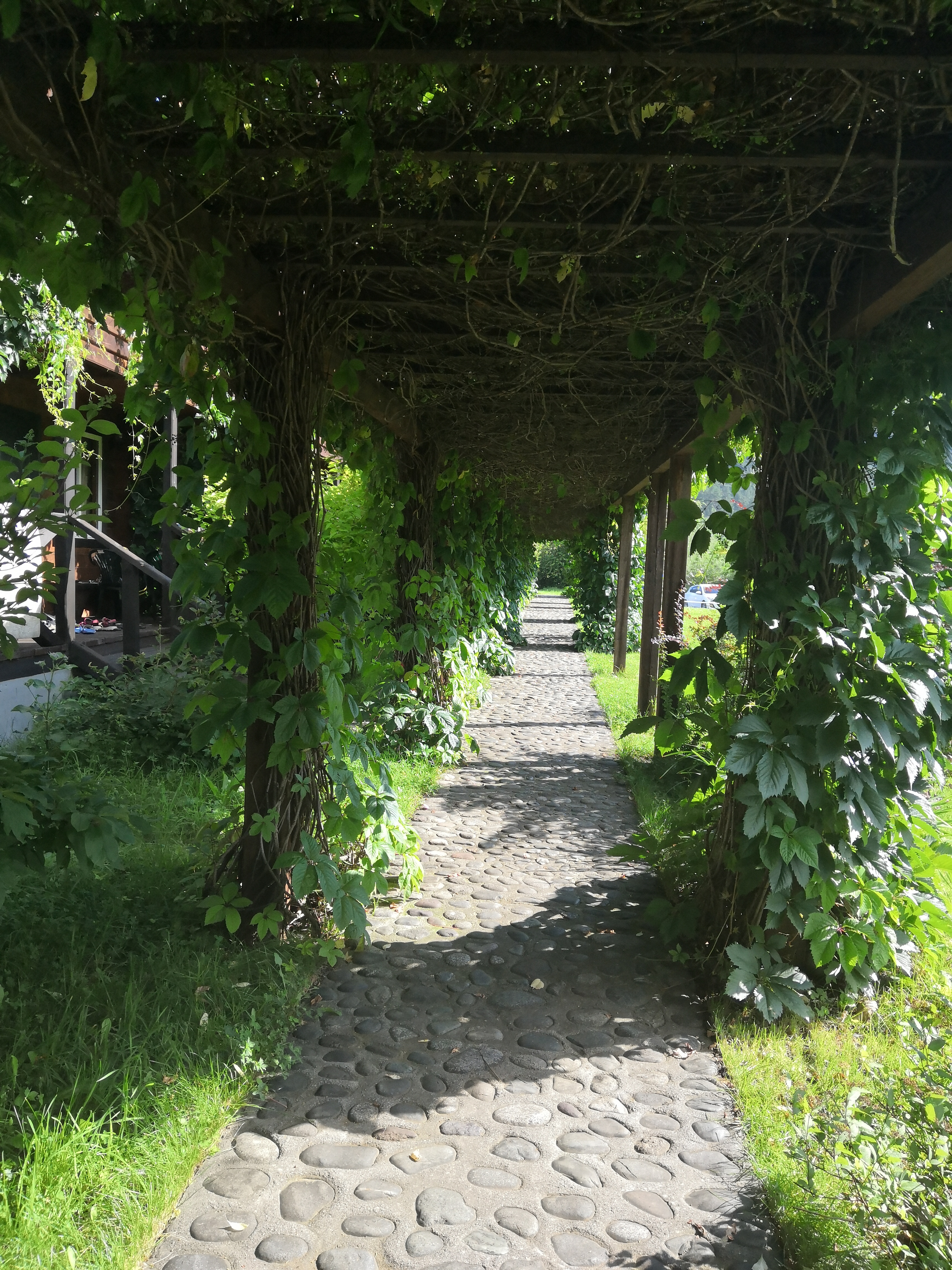 Фото Усадьба толстяка МО