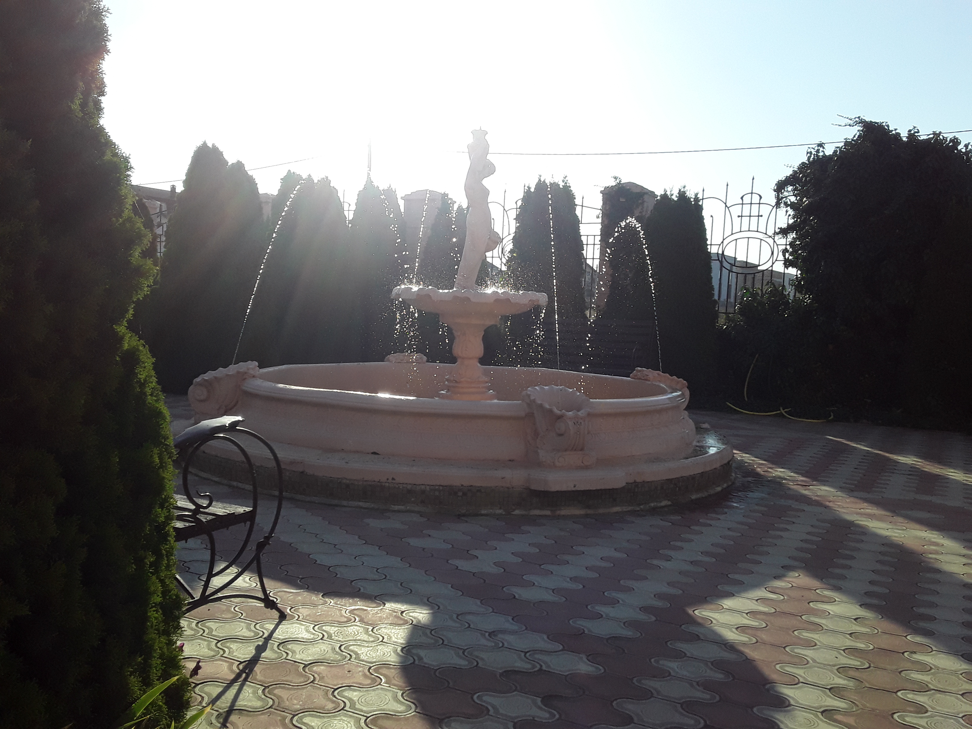 Фото Коралл