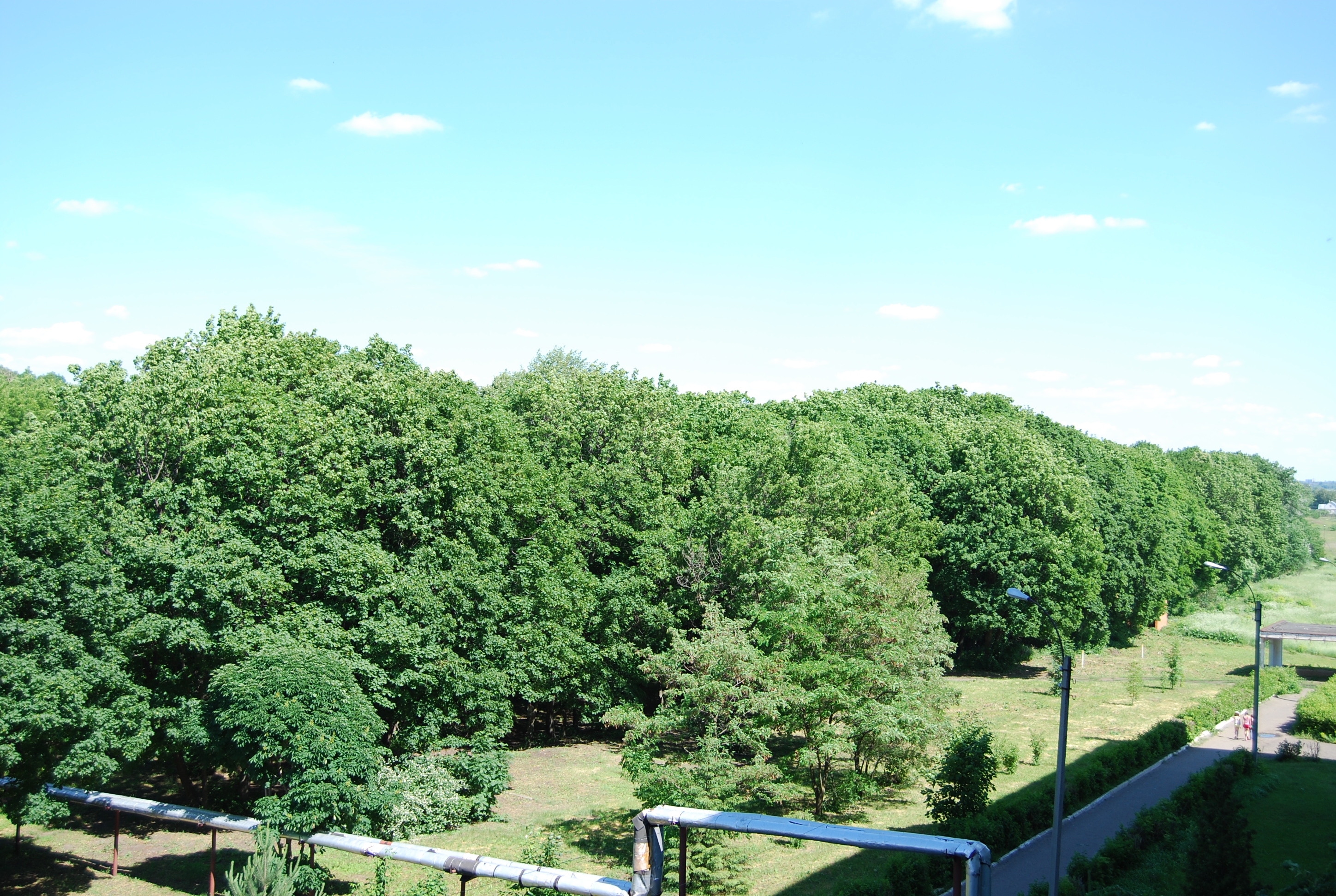 Фото Санаторий имени М.И. Калинина