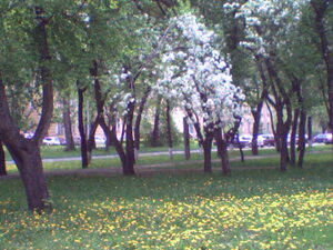 Томь-Усинский