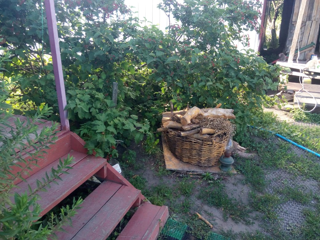 Фото Васькины Домики