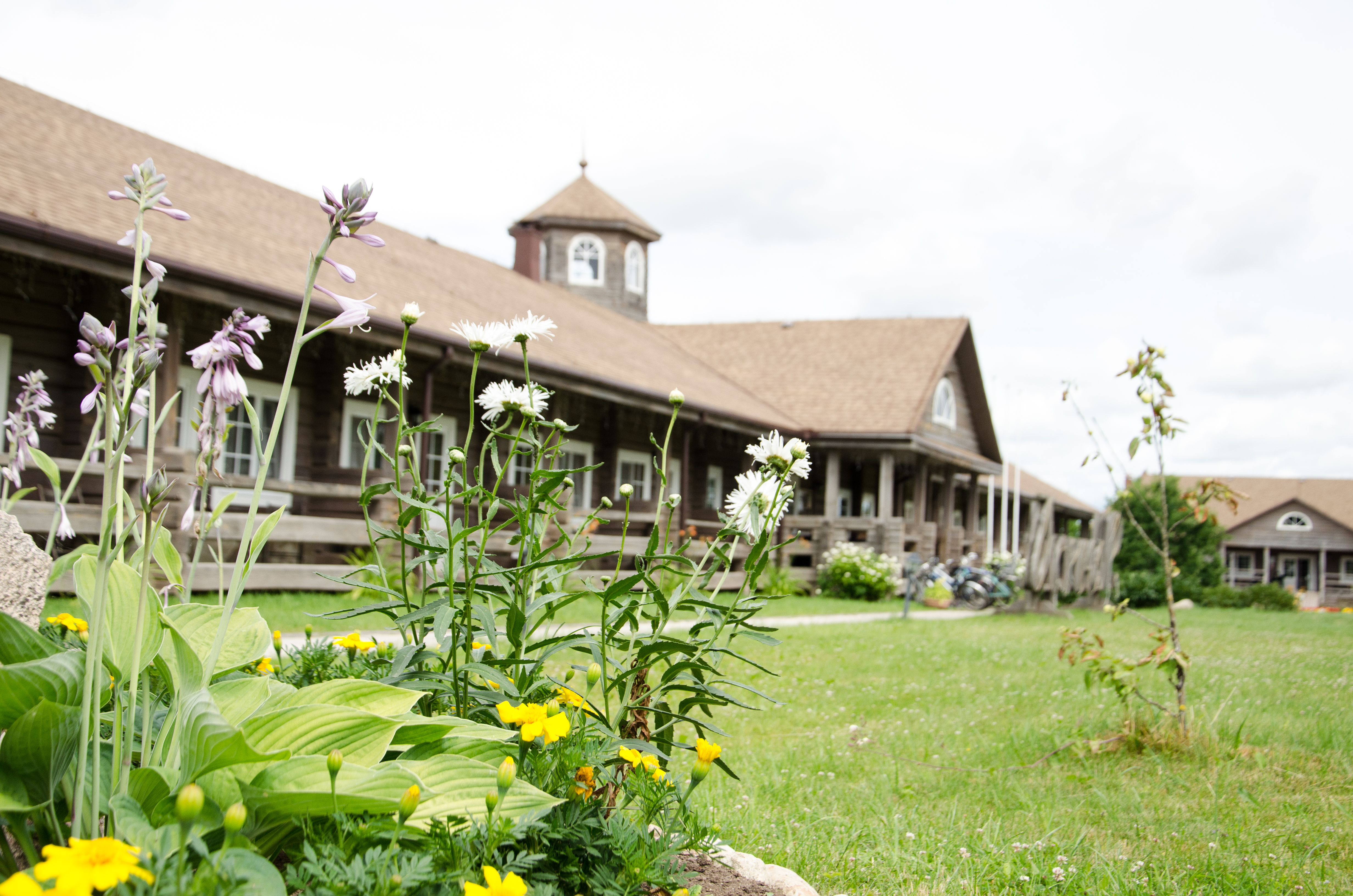 Фото Арина Р