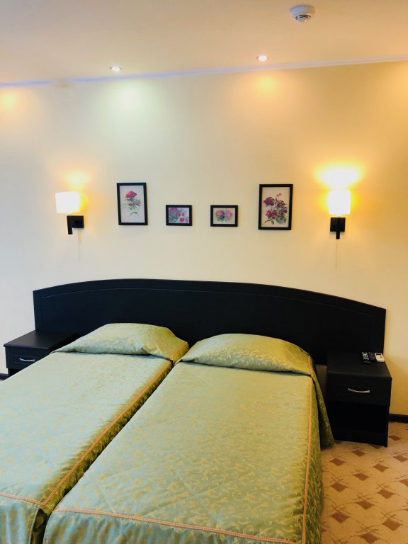 Фото Платан