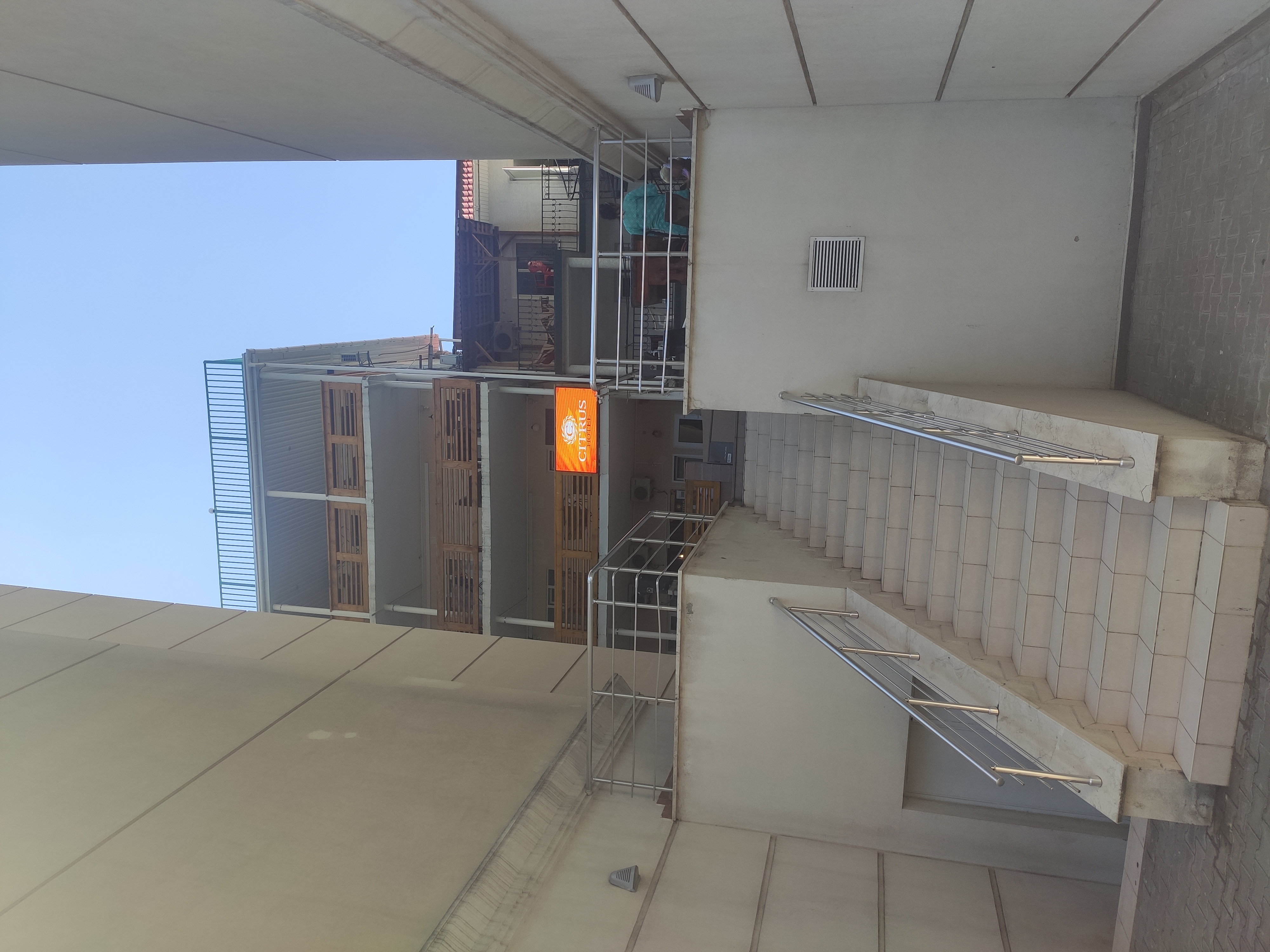 Фото Цитрус